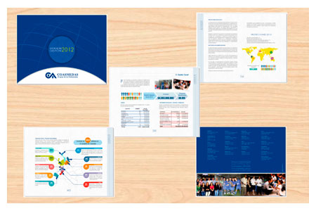 Miguel Ai Informe de Gestion