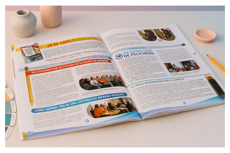 diseñador freelance revista institucional